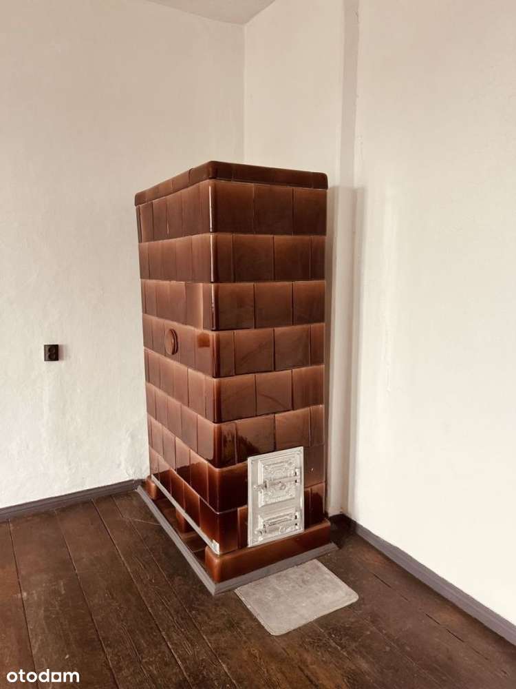 Stylowe, duże mieszkanie|Kamienica po rewitalizacji|Jeżyce|Bałtyk-9