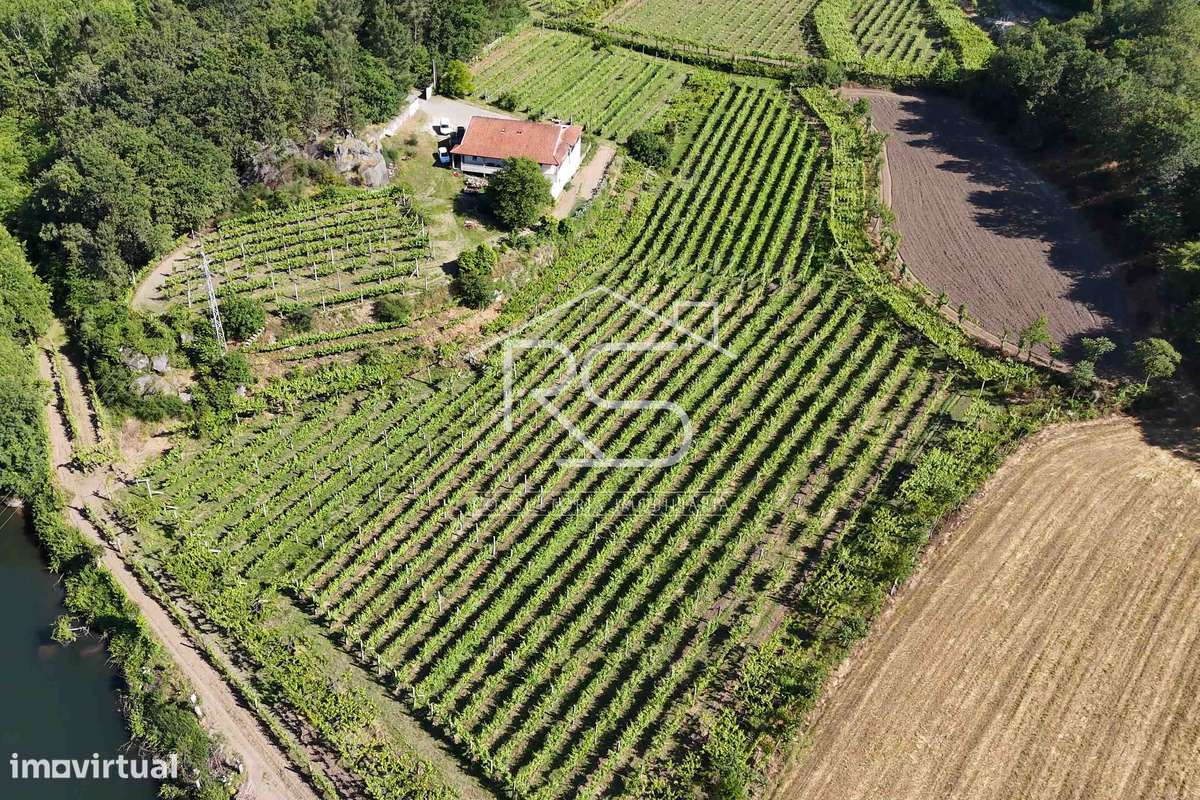 Quinta T6 | Selho São Jorge, Guimarães - Grande imagem: 3/52