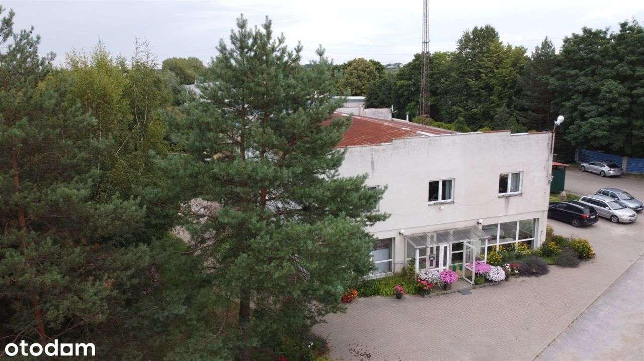 Hala/Magazyn, 1 883 m², Dmosin - Pełny obrazek: 4/20