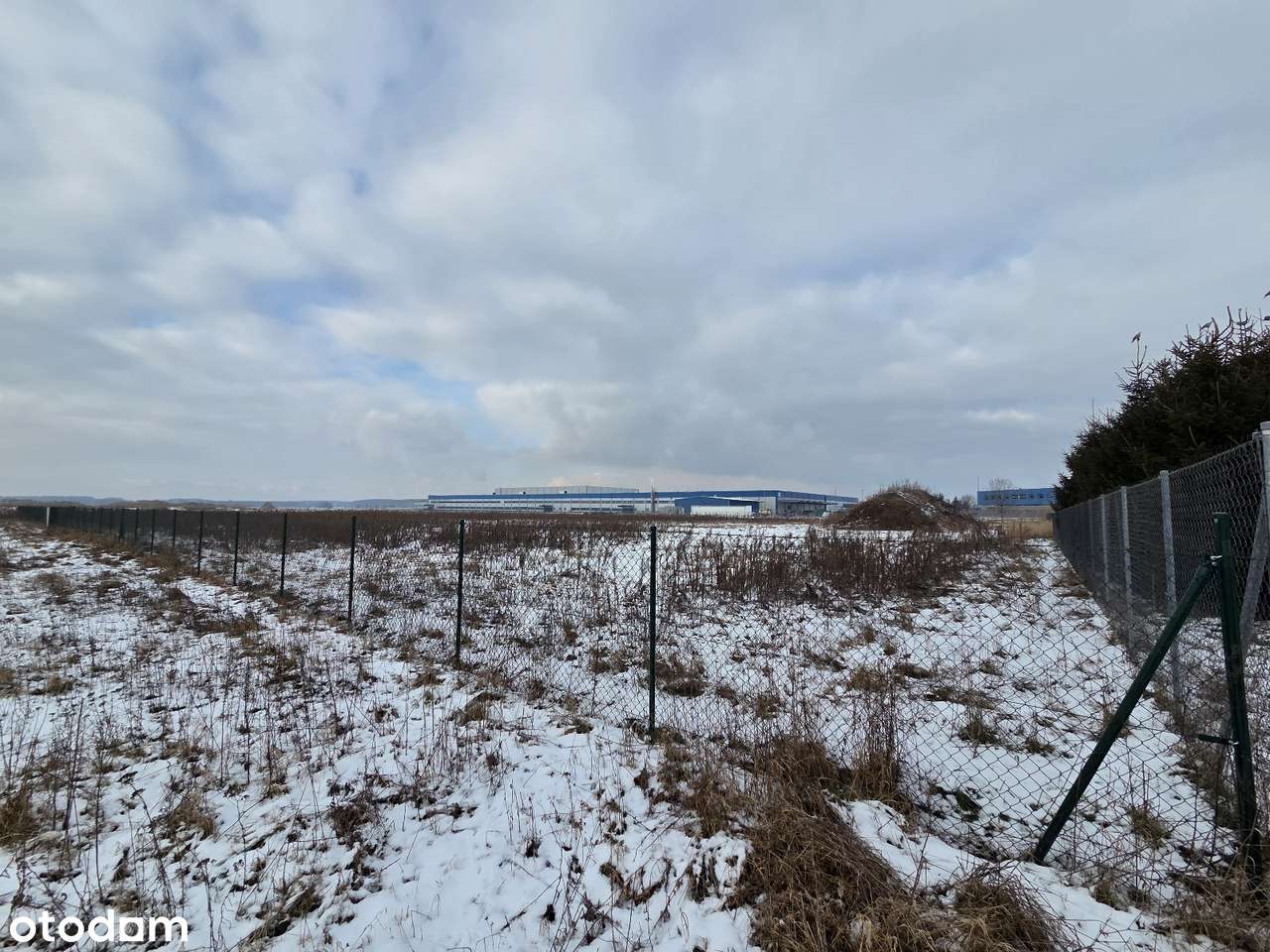 GRUNT INWESTYCYJNY na strefie przemysłowej - Kłoda, ul. Produkcyjna-5