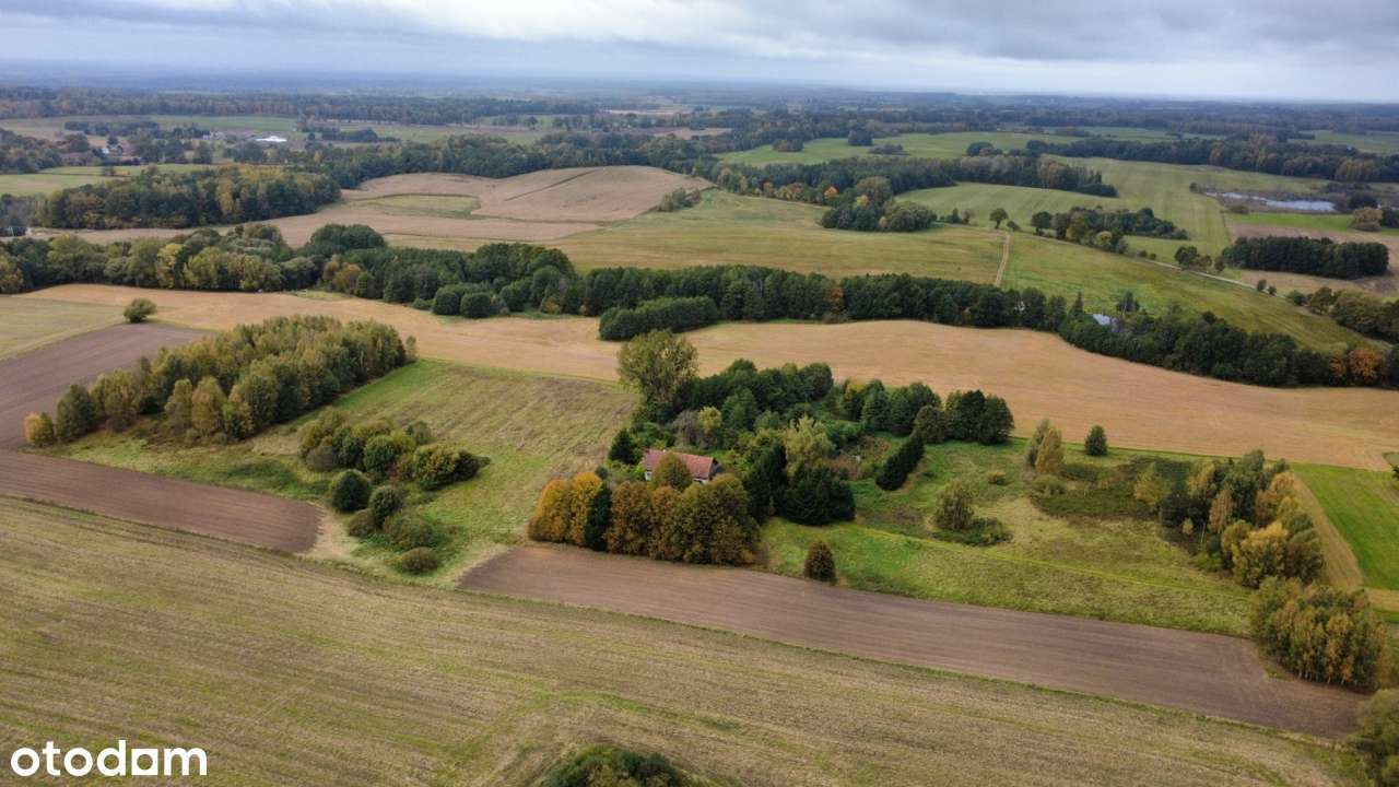Siedlisko skąpane z zieleni z własnym stawem - Pełny obrazek: 5/17