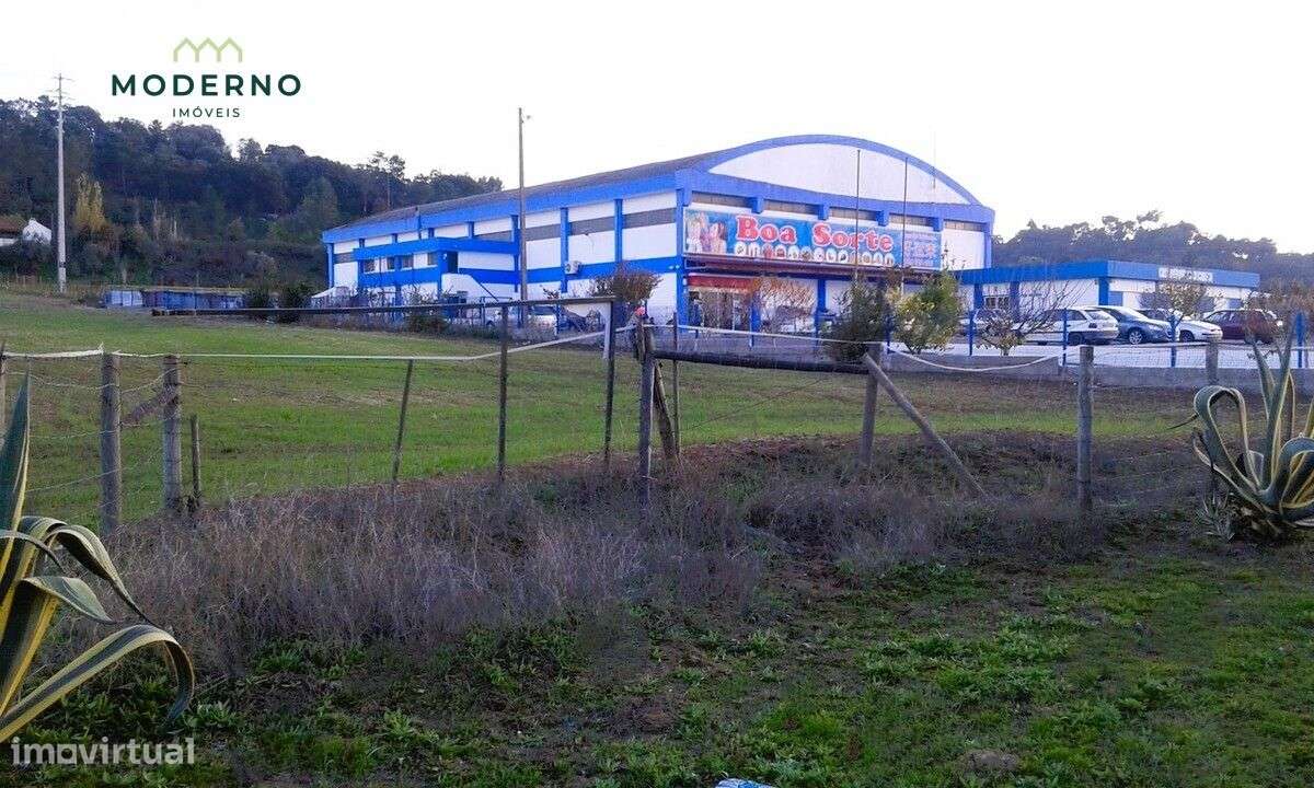 Lote industrial, Quinta do Arneiro - Chamusca - Grande imagem: 3/9