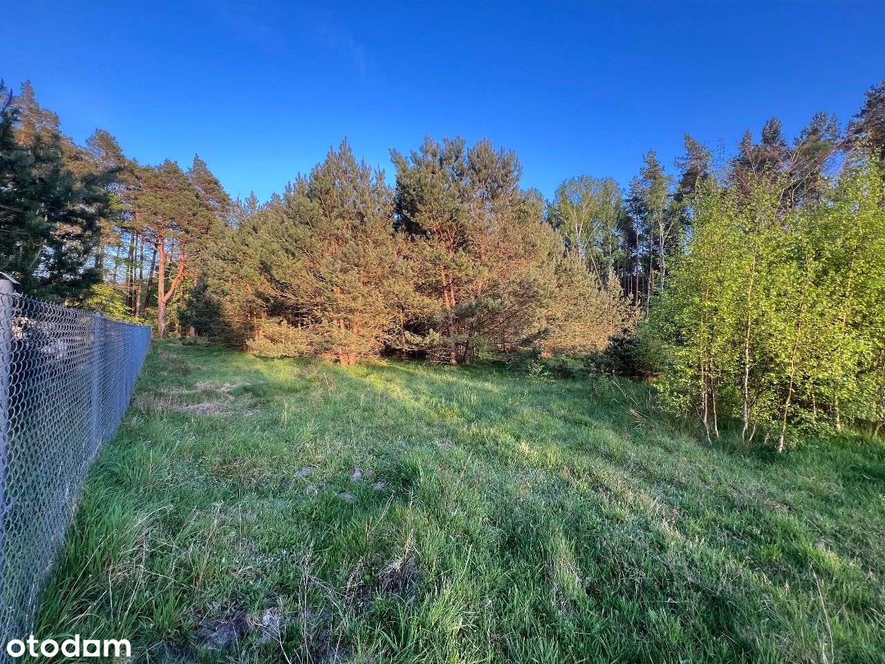 Działka 1706 m.kw. w Lubiatowie, Top lokalizacja! - Pełny obrazek: 4/8