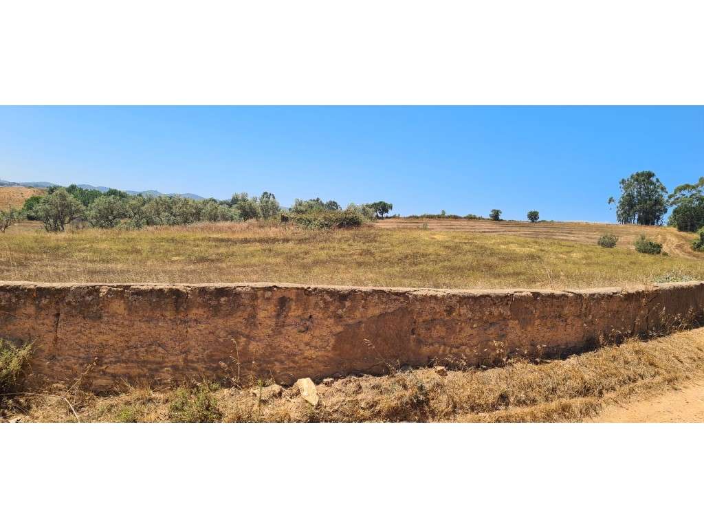Monte Alentejano-0