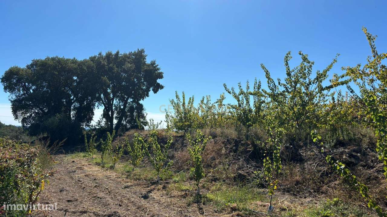 Fantástica Quinta, Alpedrinha - Grande imagem: 4/21