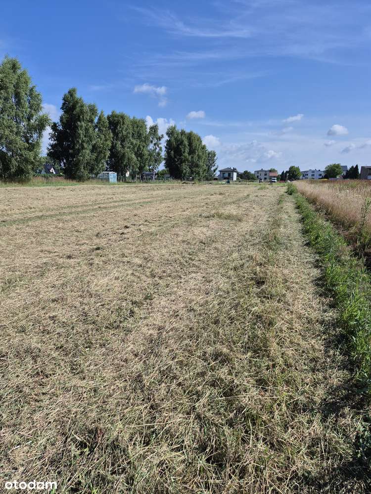 Działki Budowlane z Warunkami Zabudowy - Lędziny Goławiec - Pełny obrazek: 4/7