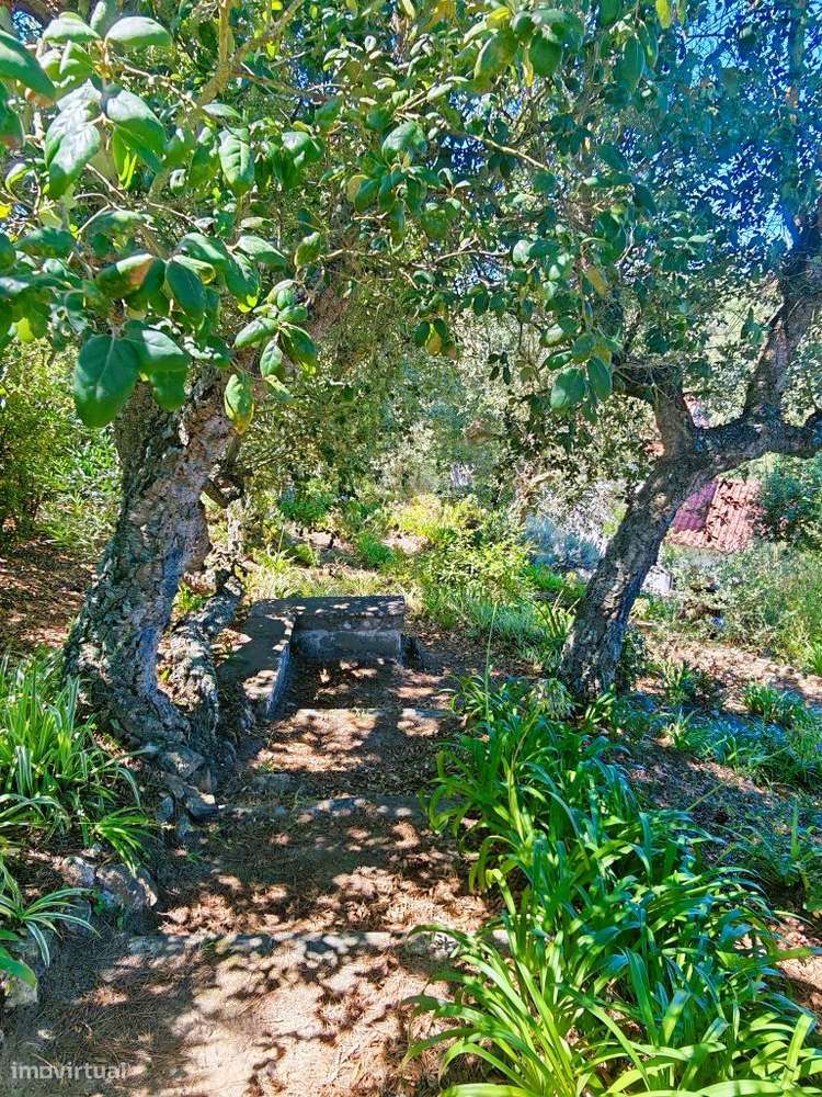 Quinta com muita privacidade, a 11 minutos do centro da Ericeira-48