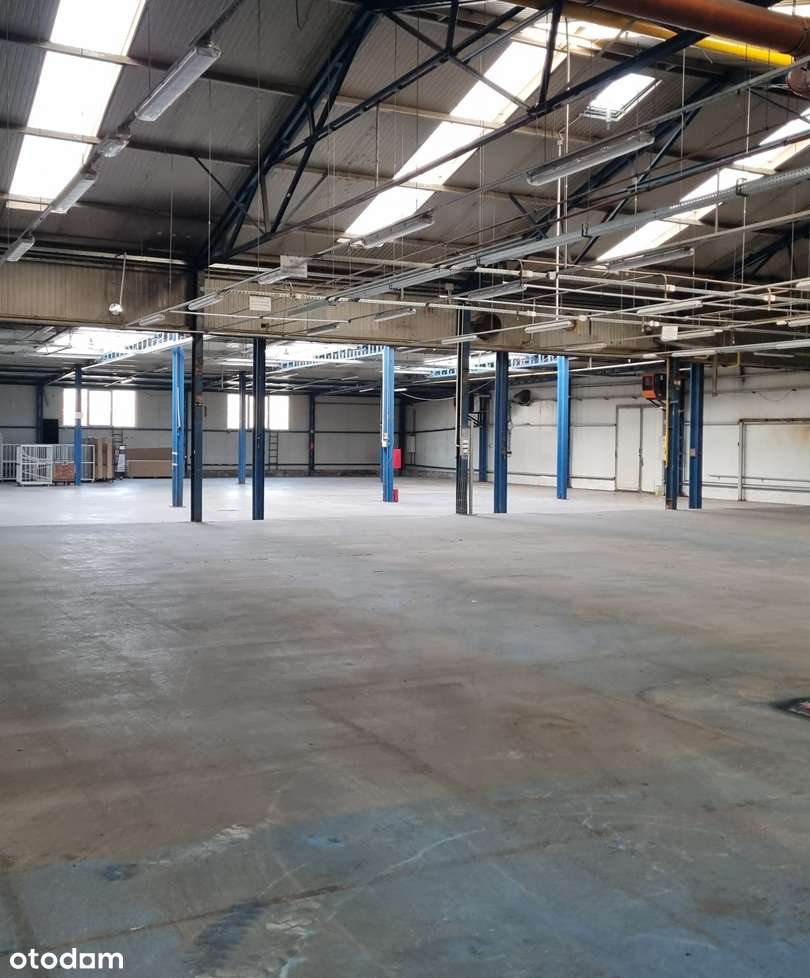 Poznań Smochowice hala  2450m2+biuro - 0 KOSZTÓW ADMINISTRACYJNYCH - Pełny obrazek: 4/8