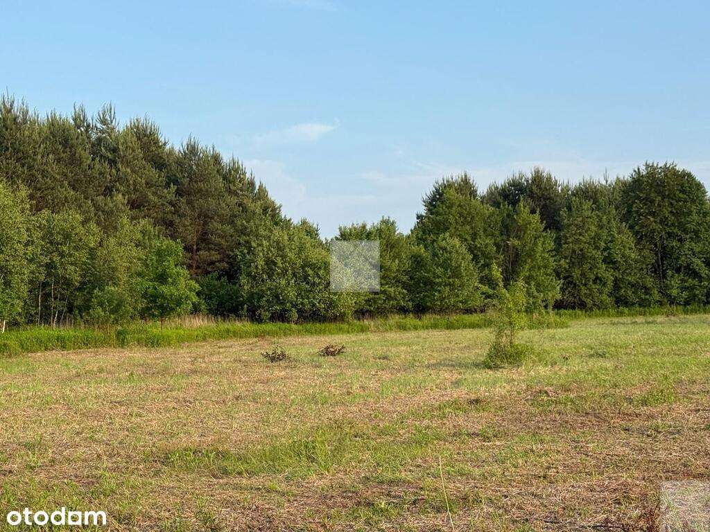 Działka rekreacyjna | WZ | Cienkie-8