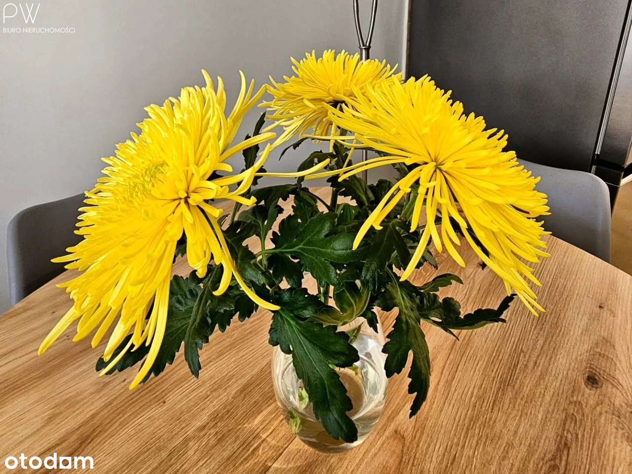 2 pokoje + komórka + garaż - Pełny obrazek: 5/19