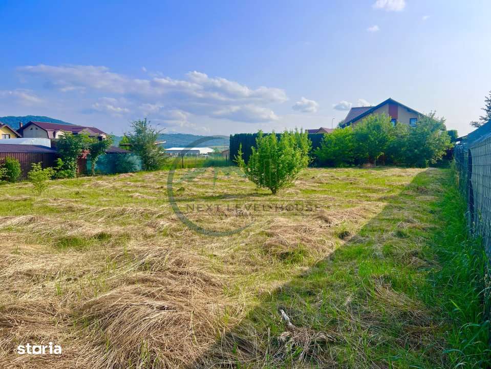 Teren Bod intravilan, Poiana Craitelor - Imagine principală: 1/6