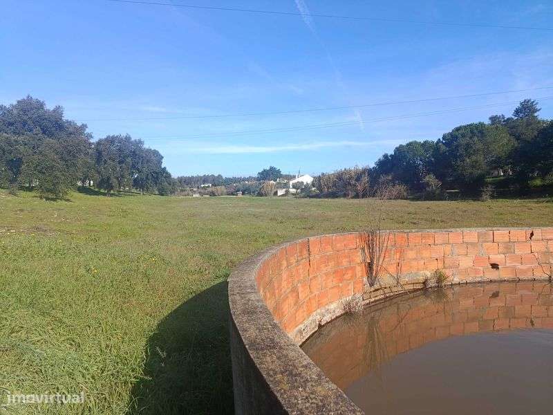 Vendo Foz Bemposta Quinta 8587 m2 urbano - Grande imagem: 4/12