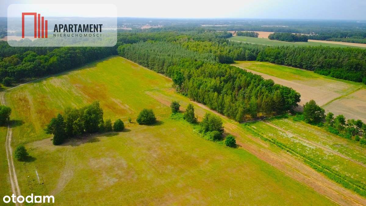 40 min do Wrocławia!k. Obornik Śląskich! 90zł/m2 - Pełny obrazek: 5/7