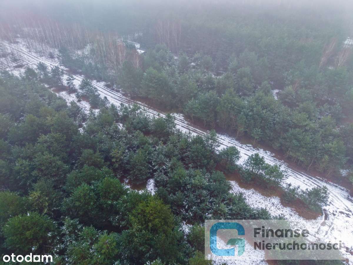 Działki budowlane po 1500 m² – Dąbrówka-11