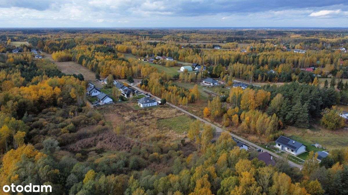 Żabia Wola | Mpzp | 2024 m2 | S8 - Pełny obrazek: 5/14