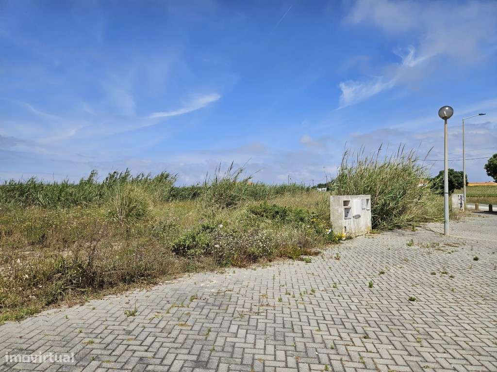 Lotes a apenas 800 metros da praia - Grande imagem: 4/16