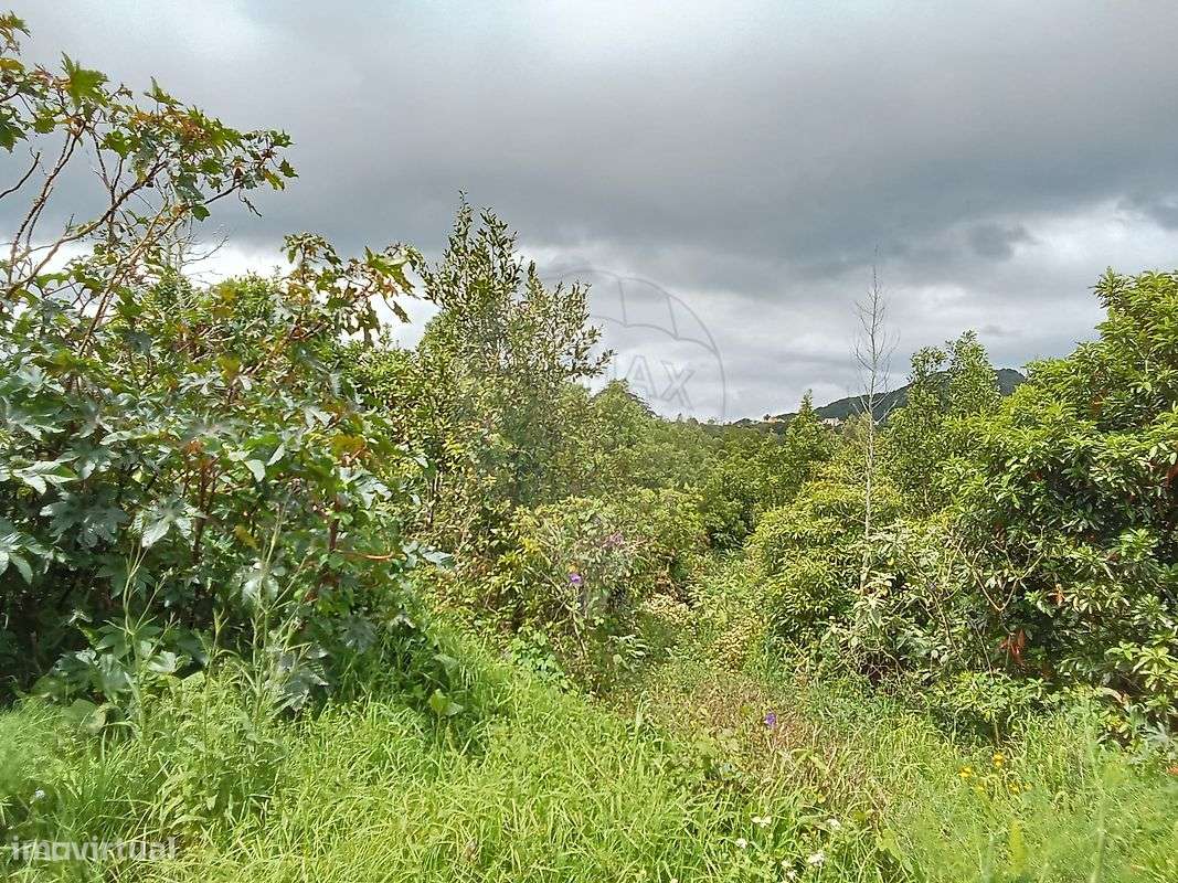 Terreno  para venda - Grande imagem: 2/6