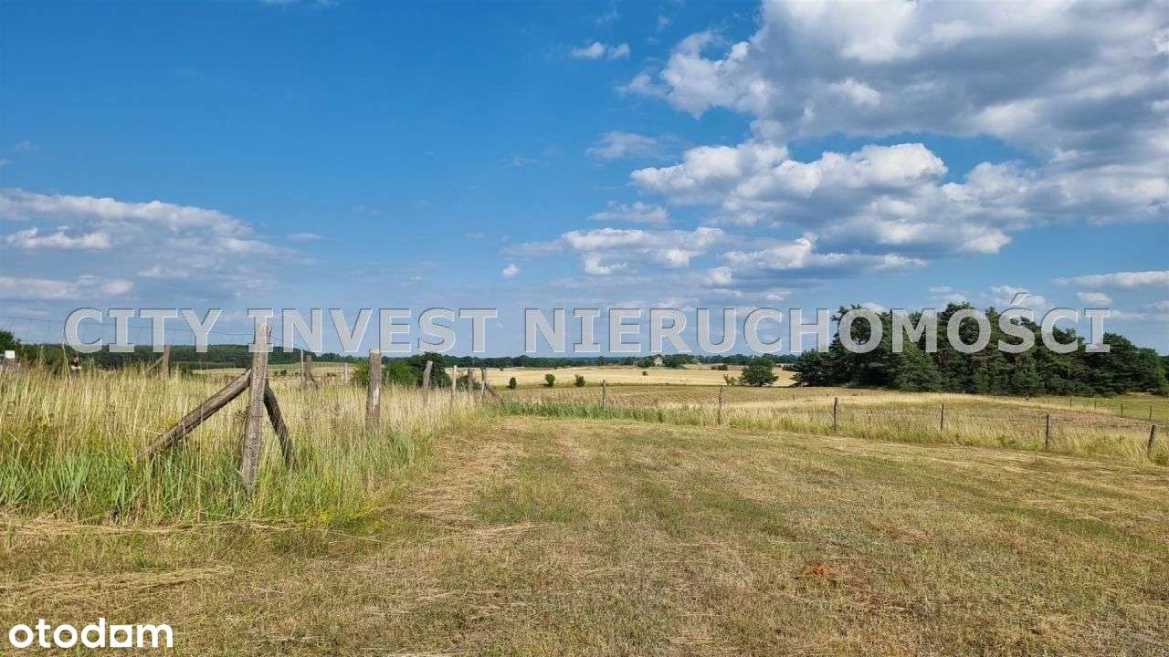 Działka, 5 700 m², Czarna - Pełny obrazek: 4/4