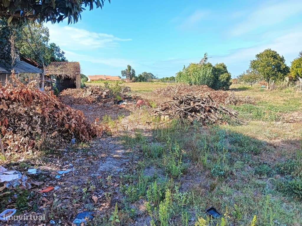 Terreno para Construção - Moradias- Eixo / Aveiro - Grande imagem: 5/15