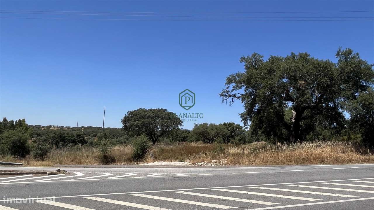 Terreno  Venda em Alandroal (Nossa Senhora da Conceição), São Brás dos-5