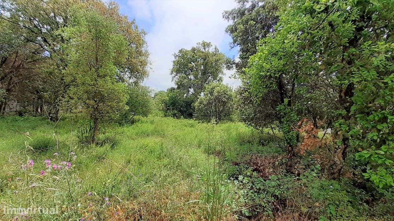 Terreno para construção - Grande imagem: 5/9