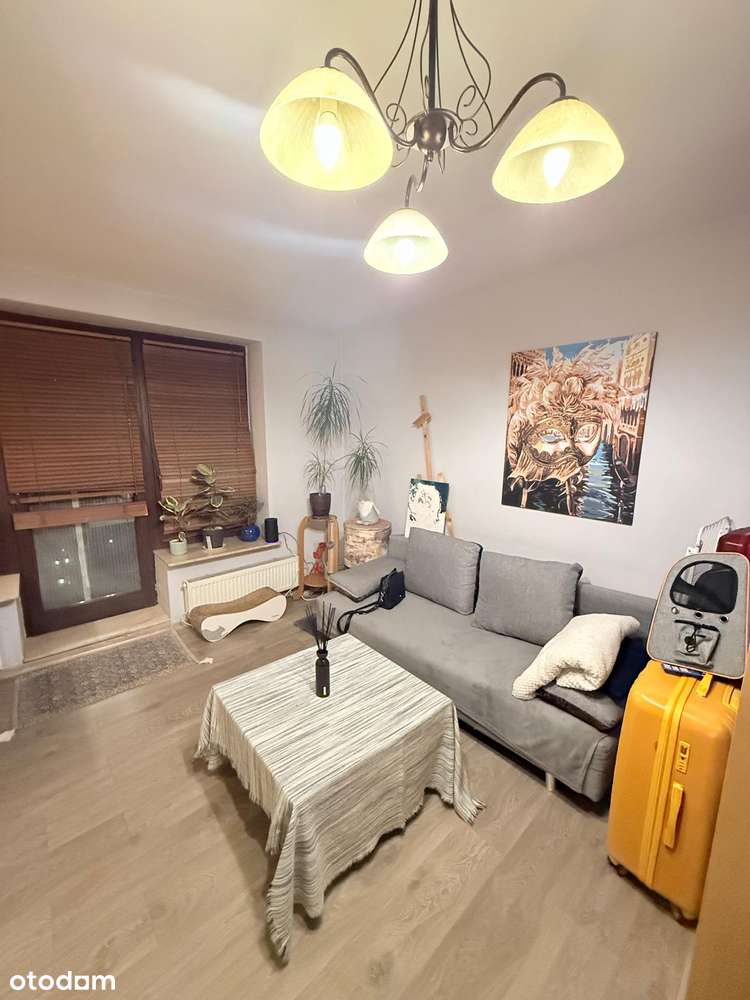 Idealne pierwsze mieszkanie lub pewna inwestycja - w super cenie !-6