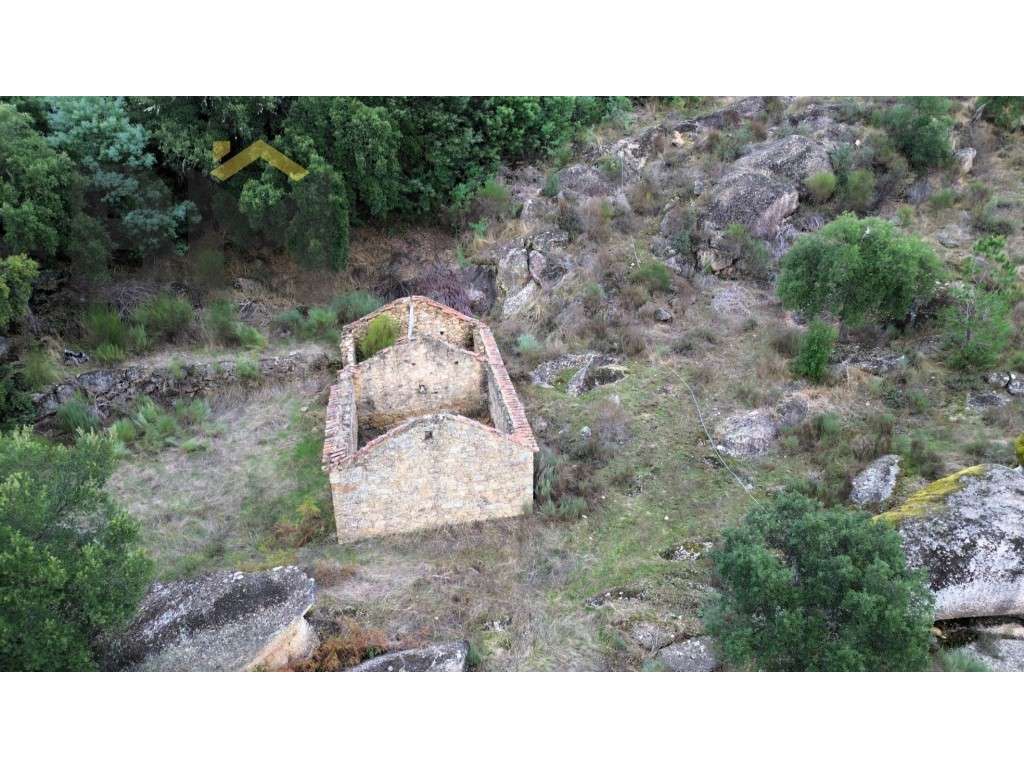 Quinta com 13.750m2 para venda em Cafede! - Grande imagem: 2/15