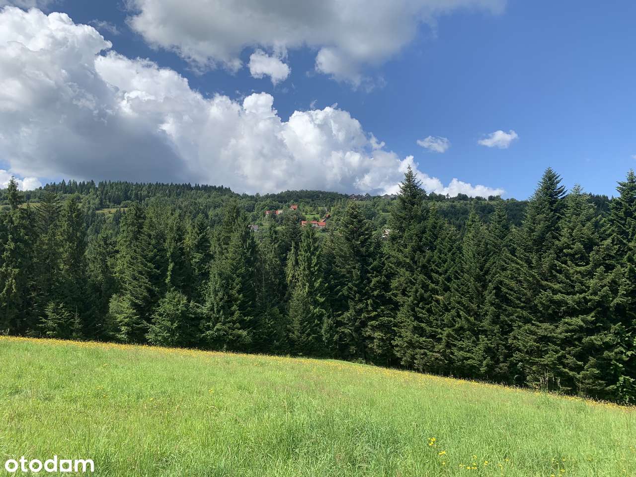 Piękne Działki Budowlane w Otoczeniu Lasu - Pełny obrazek: 5/10