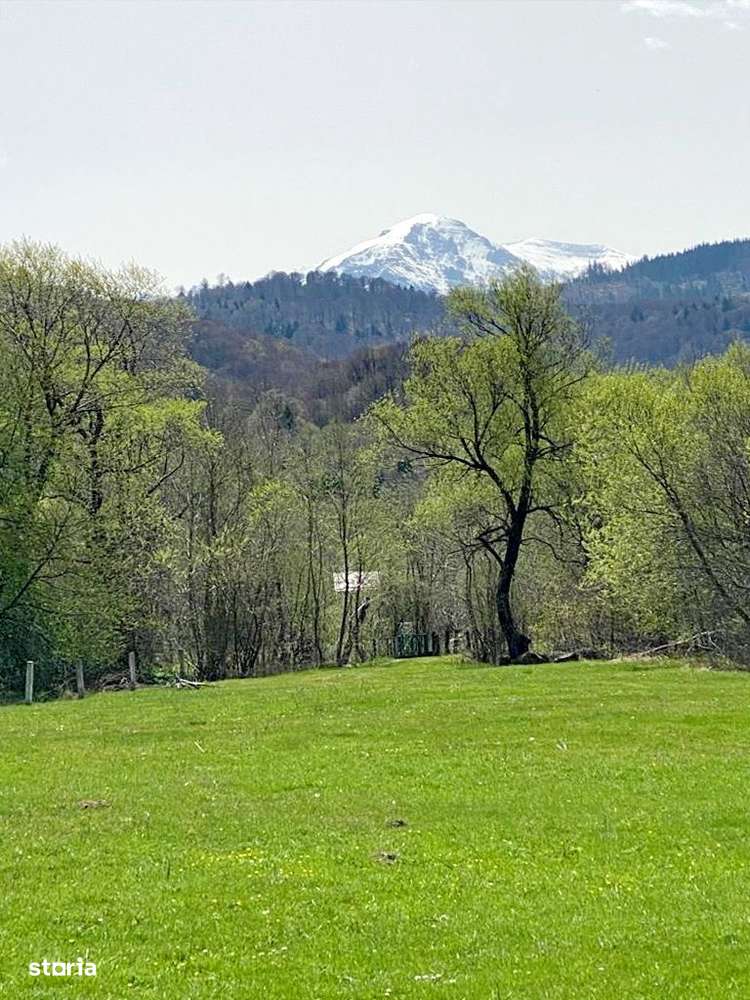 Teren superb Rasnov cu priveliste si rau - Imagine principală: 3/9