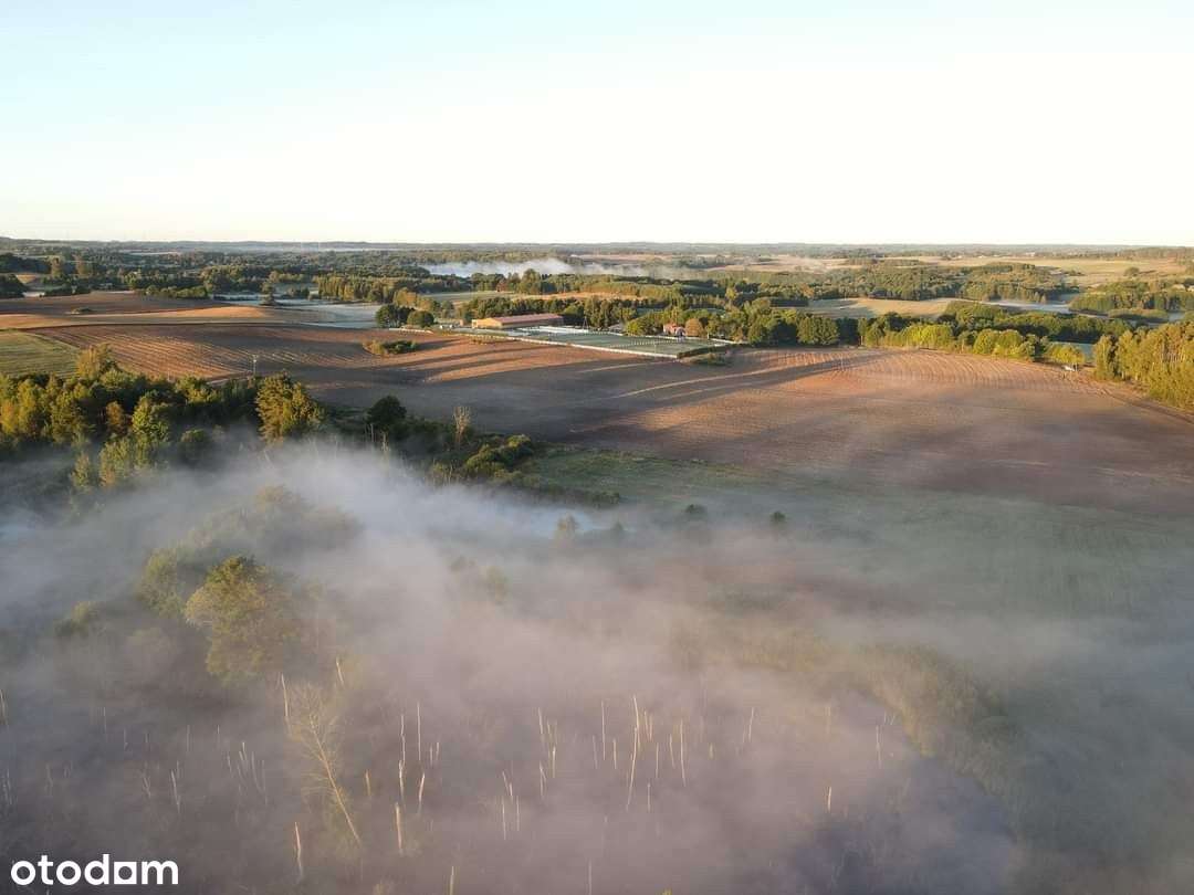 Piękne działki w Tągowiu na Kaszubach - Pełny obrazek: 3/5
