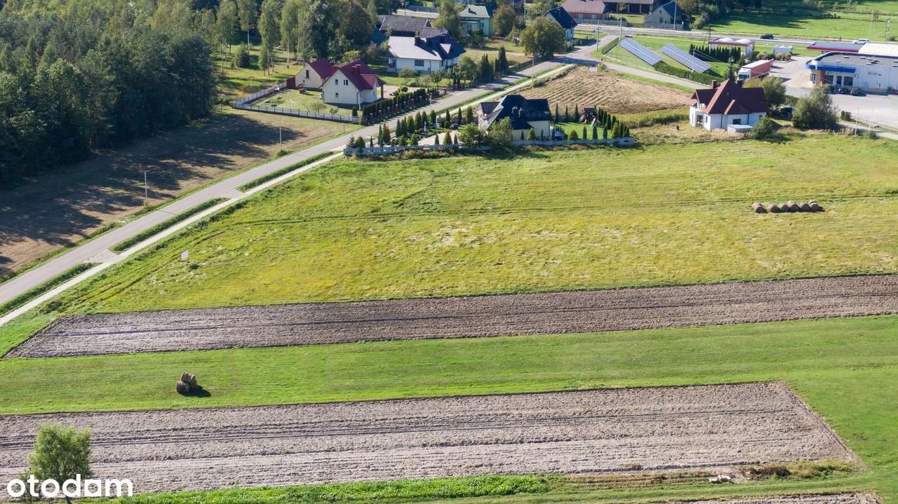 Działka 13,07ar Nowa Dęba - Pełny obrazek: 5/6