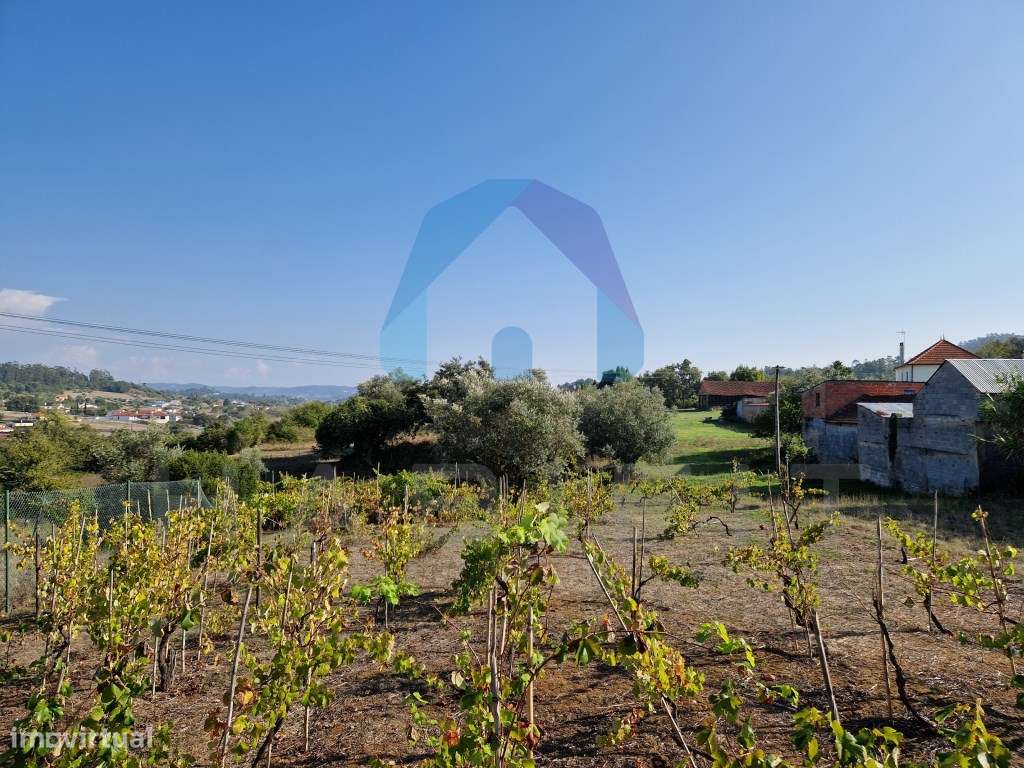 Terreno com Viabilidade de Construção - Pombal-11