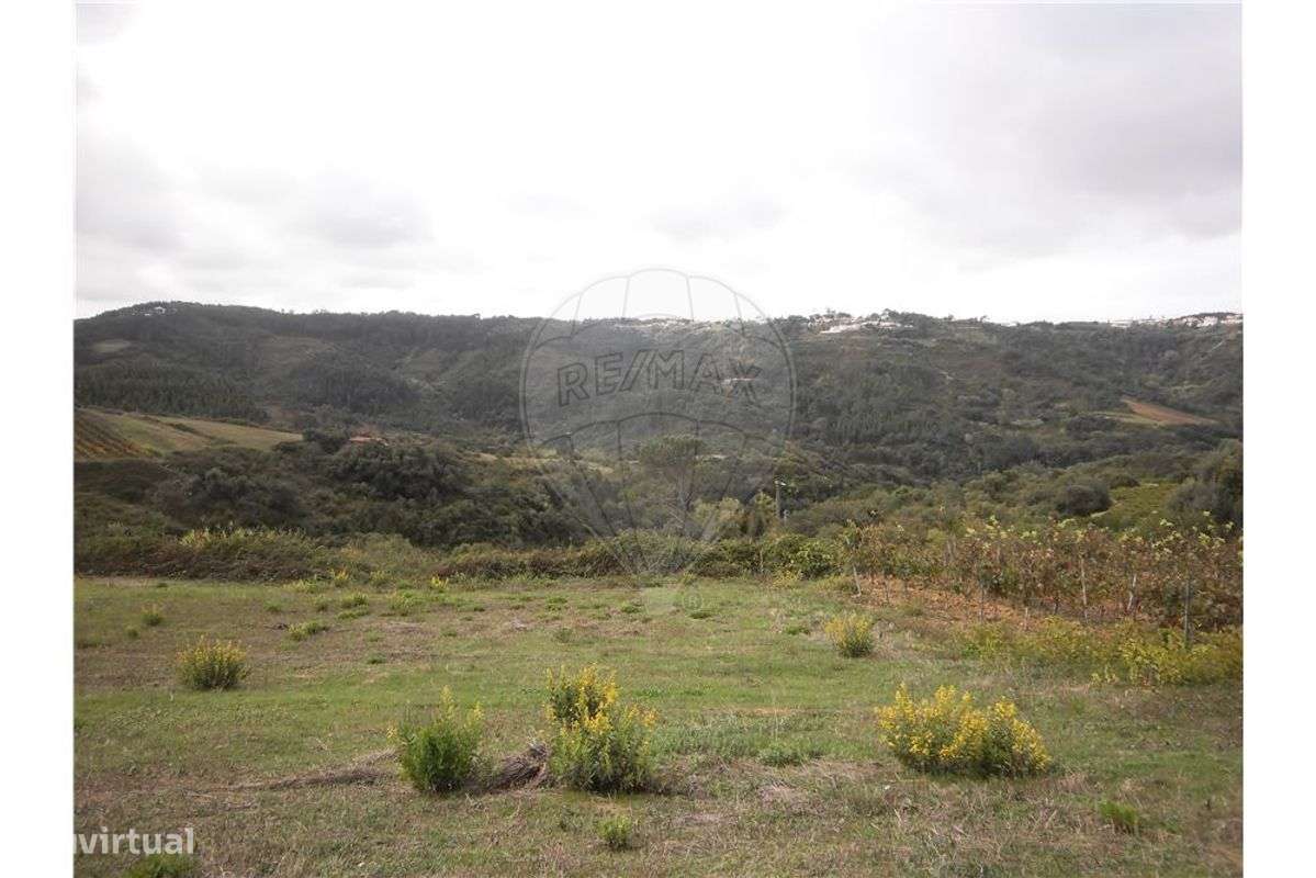 Terreno  para venda - Grande imagem: 3/7