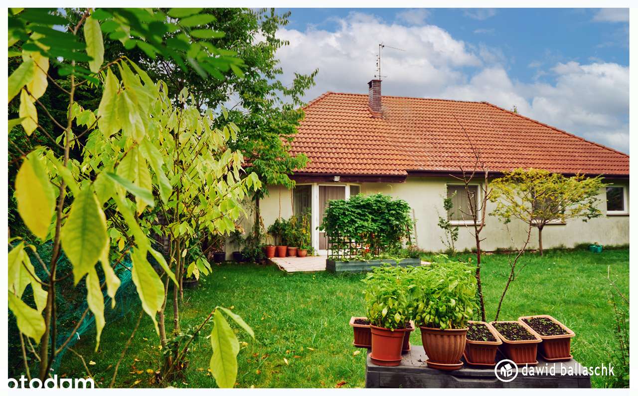 Kameralny parterowy dom blisko lasu-6