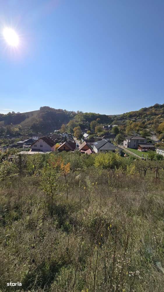 Casă cu mult teren-16