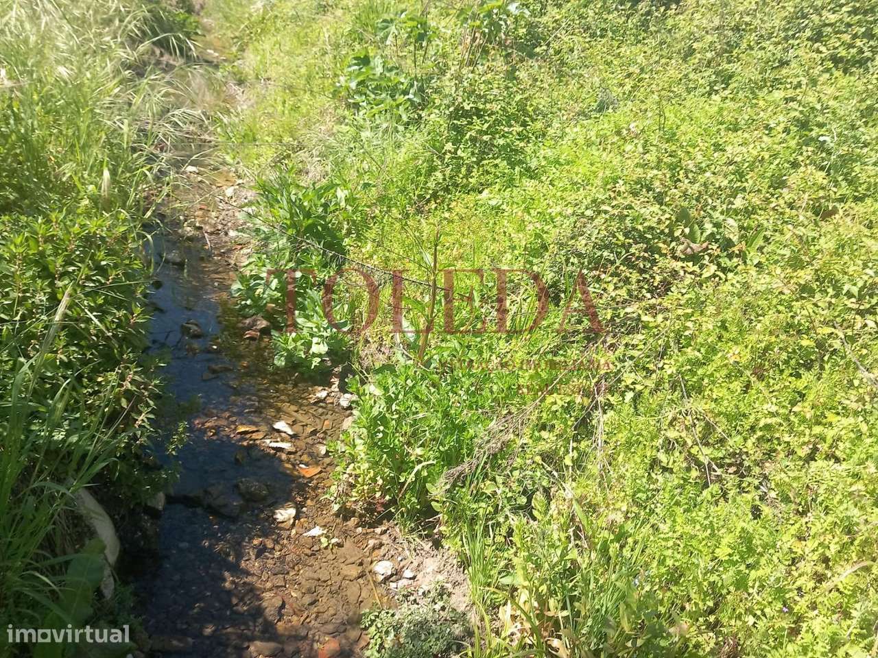 Quintinha em Tomar com 2 casas-50