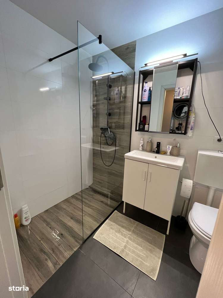 Cartier Brancusi ANL Coloana infinitului-10