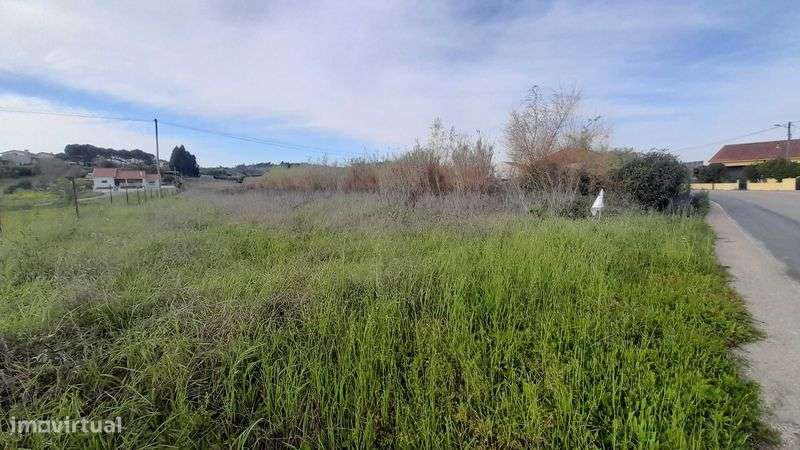 vende-se 2 terrenos em Mealhada Ventosa do Bairro - Grande imagem: 4/4