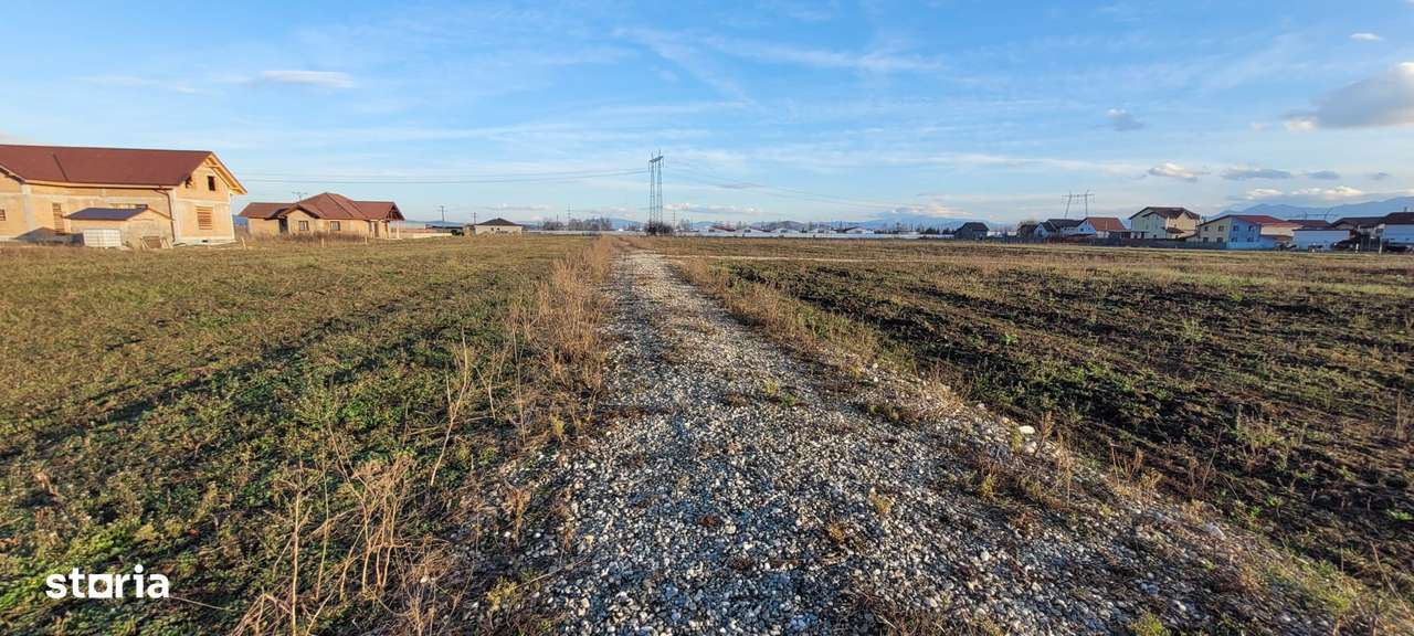 Vindem 36 de parcele cu P.U.Z in Halchiu-4