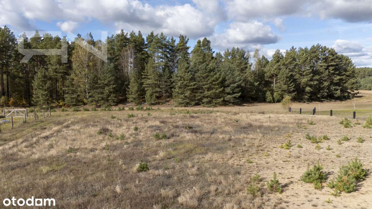 Działka z domem na Kaszubach | 1162 m² - Pełny obrazek: 5/9