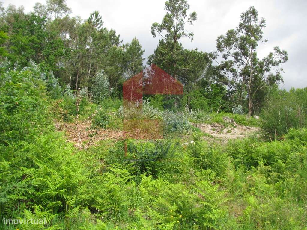 Terreno para construção, Barbudo - Grande imagem: 4/14