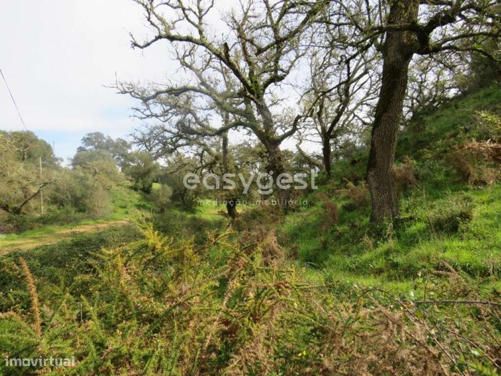 Herdade com 1.447.916 m2 localizada em São Luís, concelho de Odemira - Grande imagem: 4/48