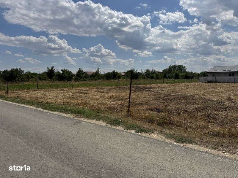 Vanzare teren Domnesti/Teghes - Imagine principală: 4/7