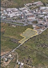 Arrendo Terreno de 17000 m2 junto á EN 125. - Grande imagem: 4/9