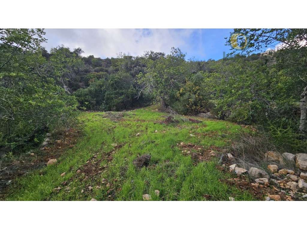 Terreno Rústico em Estoi com Poço-16