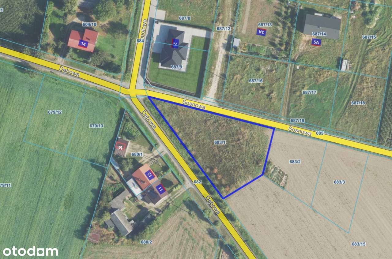 Działka 20 ar w centrum Chojęcina przy asfalcie-3