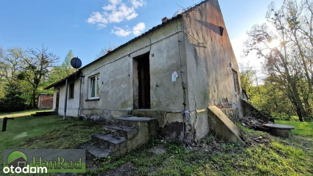 parterowy domek na wsi - remont - Puszcza Zielonka