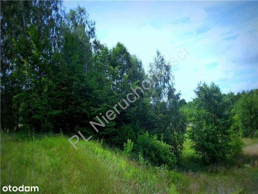 Działka Z Wydanymi Warunkami Zabudowy.