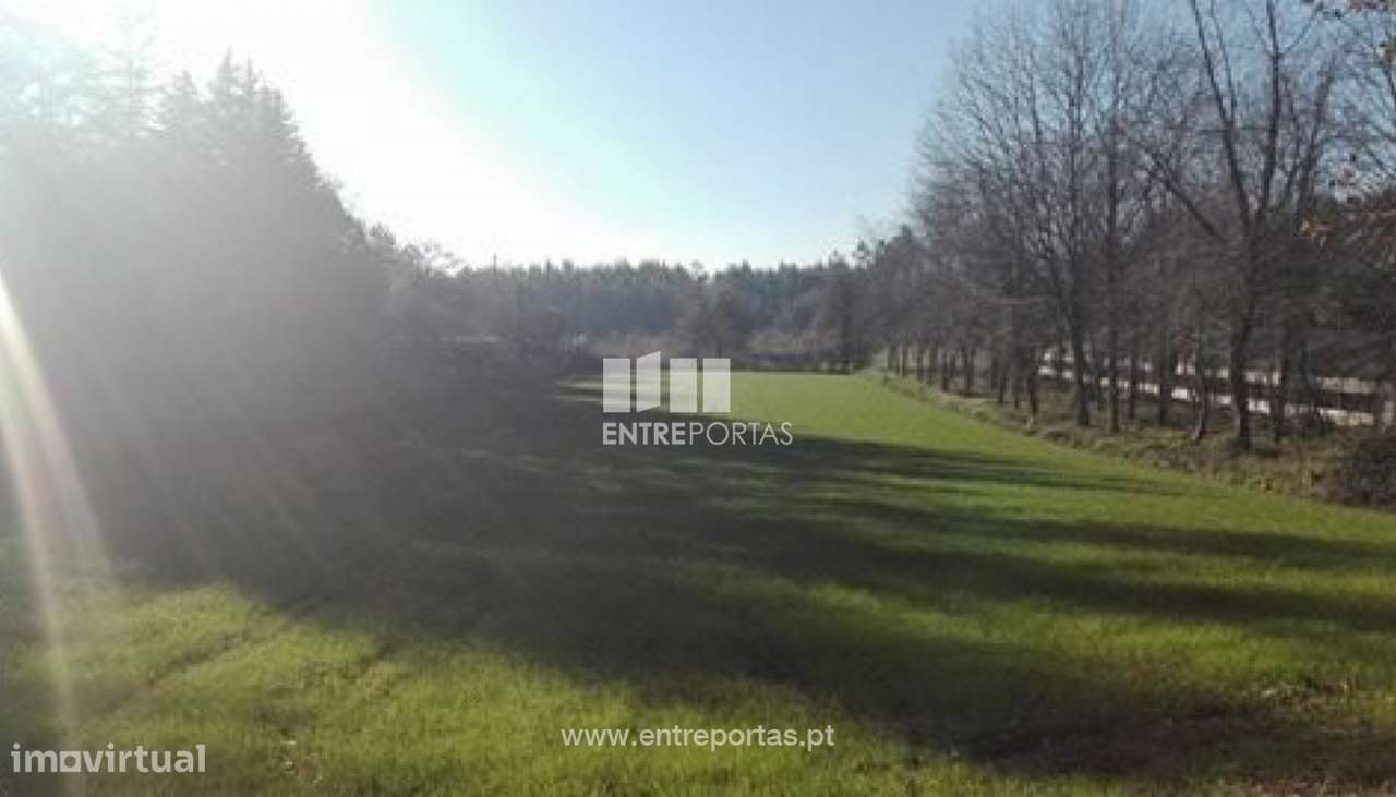 Venda Terreno, Folgosa, Maia - Grande imagem: 5/8