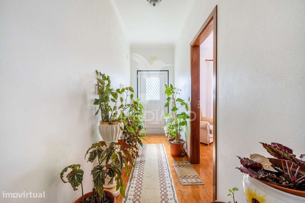 Quinta em Alcobaça para comprar. - Grande imagem: 4/39